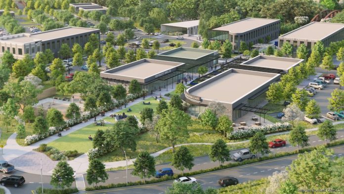 Novartis denton